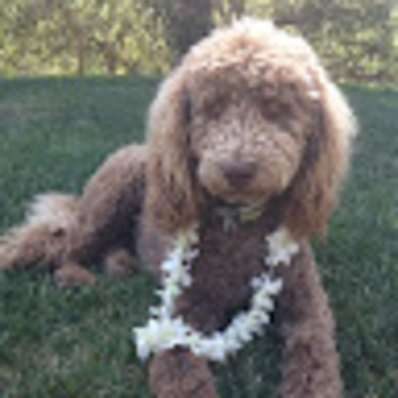 Meet your Posher, Jill - Picture 1 of 1